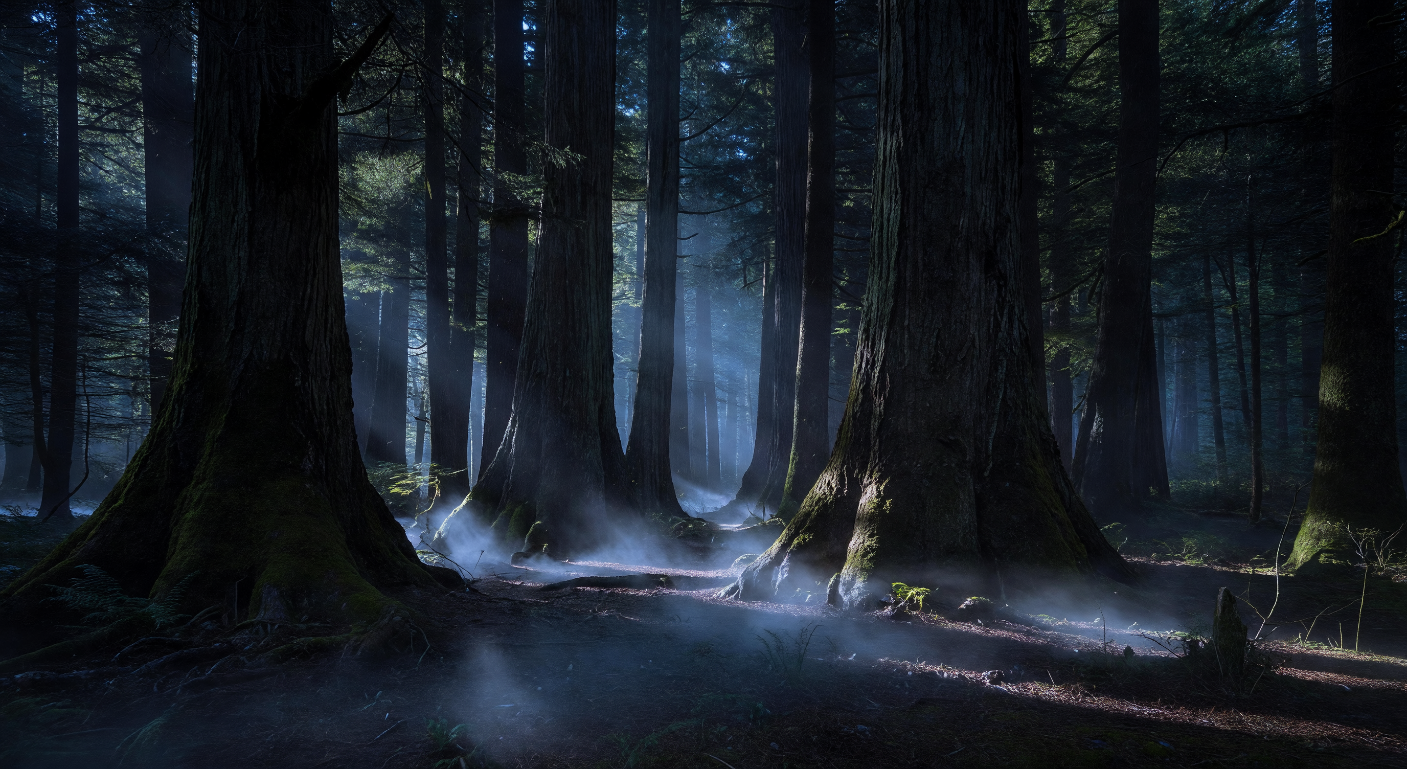A dark old-growth forest at twilight, shafts of pale blue light filtering through ancient tree trunks, a faint mist at ground level