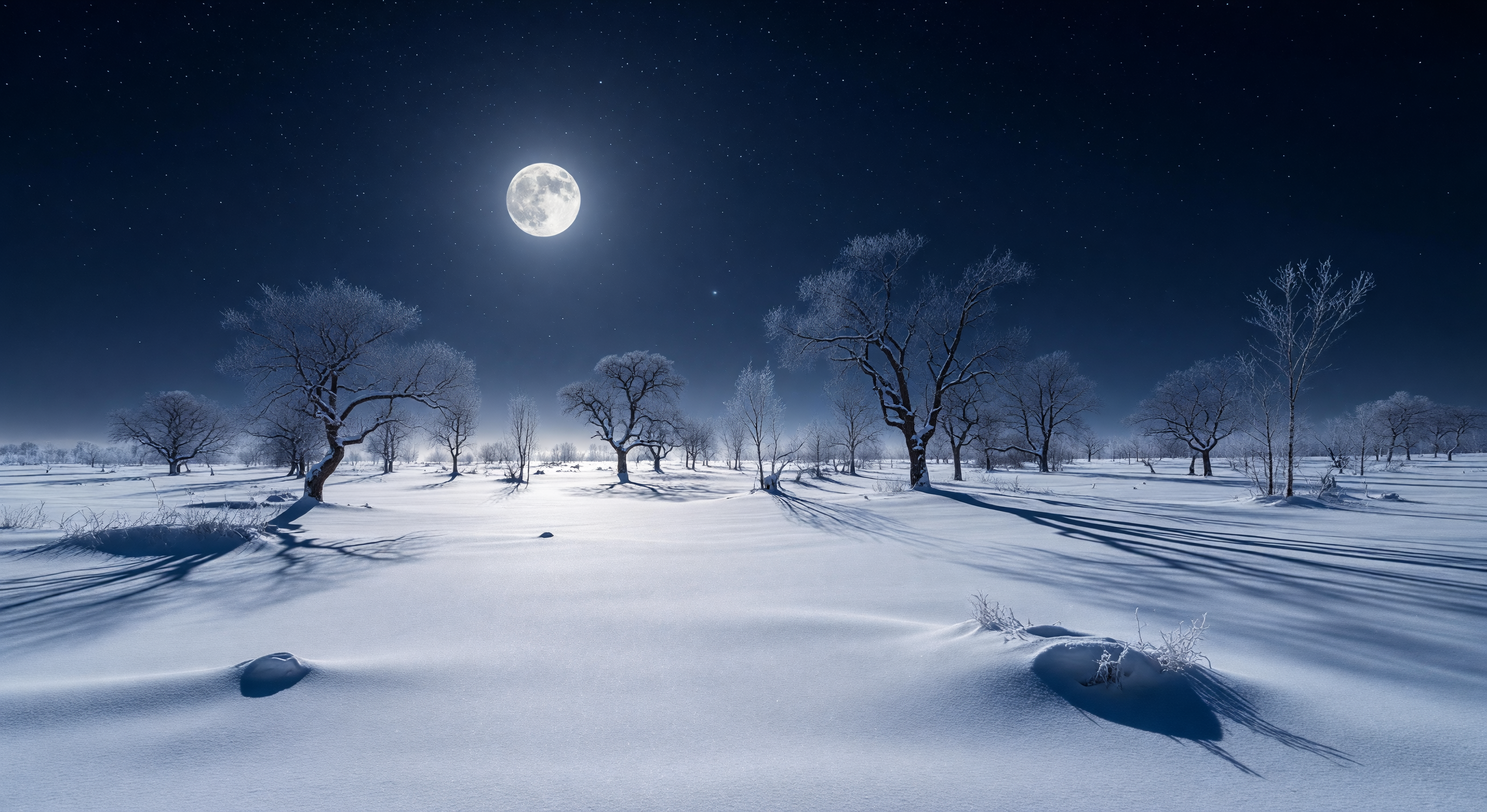 A snow-covered landscape at night under a full moon, bare trees casting blue shadows across pristine white snow, utterly still